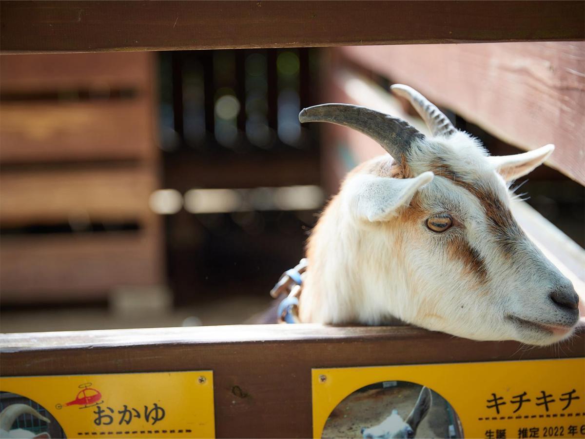 Hotel Murasakimura Yomitan Exteriör bild